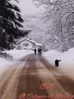 Il Ciliegio di Lurisia - Chambres d’hôtes Lurisia