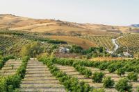 Loma Méndez Casa 2 - B&B Casarabonela