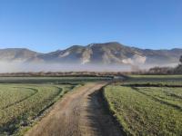 Finca Bellas Vistas - B&B
