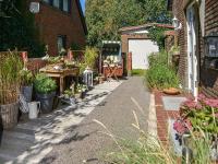 Dünenrose - B&B Tinnum