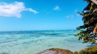 MOOREA - Villa Tereva Nui - B&B Haapiti