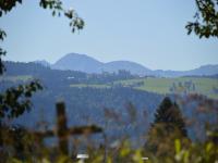 B&B Scheidegg - Alex Bergblick - Bed and Breakfast Scheidegg