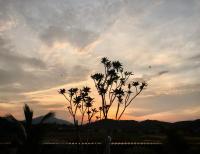 Villa con piscina privada