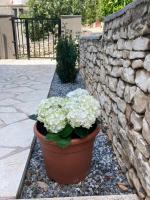 Apartmani Sirius Rogoznica - B&B Rogoznica