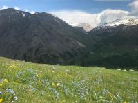 Apartment Paradise - B&B Livigno
