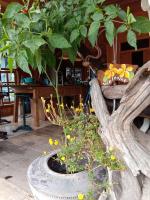 The Canale Boutique Stay Koh Kood - B&B Ko Kood