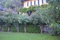 B&B Carate Urio - Villa Nina Relais Boutique B&B - Bed and Breakfast Carate Urio