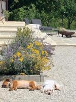 Puhek breg - B&B Krapina