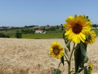 B&B Nailloux - Gites des Camparros - Bed and Breakfast Nailloux