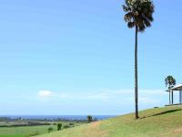 Rose Valley Gerringong - Bed and Breakfast