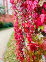 Riverside apartment in central Herzogenaurach - B&B Herzogenaurach