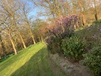 Tweepersoonskamer met 1 of 2 Bedden en Uitzicht op de Tuin