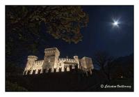 Le Bibelot apartments - Ferienwohnung Nus