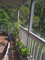Near to Everything Yet in a Rainforest setting - B&B