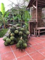 Bầu Bí Mini Farmstay Mekong - Tiền Giang