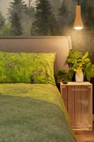 Appartement 01