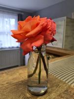 Casa Cibian - Bed and Breakfast Braşov