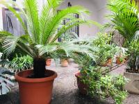 B&B Fiumara - B&B Naples