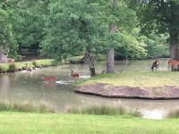Appartement met 2 slaapkamers