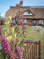 Ferienhaus Gut Glück - B&B Lancken-Granitz
