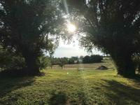 Standaard Tweepersoonskamer met Gedeelde Badkamer