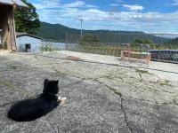 Nouka Minsyuku Nakajima - Vacation STAY 99829 - B&B