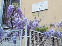 amaMI - Bed and Breakfast