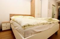 Central STUDIO WORK and TRAVEL - Ferienwohnung