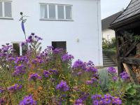 Ferienoase am Schwürbitzer Dom - Ferienwohnung Lichtenfels / Bayern