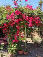 Megris Country Houses - B&B