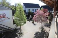 Schöne Wohnung Kleiner Onkel auf idyllischem Reiterhof nahe Burg Eltz - B&B Münstermaifeld