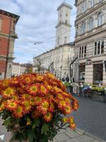 Апартаменти в центрі міста - B&B Leópolis