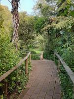 Buena Vista Apartment - B&B Marahau