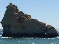 T1 Praia da Rocha - Chambres d’hôtes Portimão