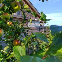 B&B Molenstreek - B&B
