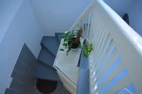 PINGO 2 - B&B