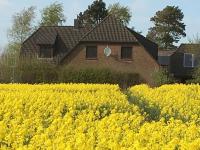 Zwischen den Feldern - Ferienwohnung