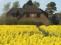 B&B Brebel - Zwischen den Feldern - Bed and Breakfast Brebel