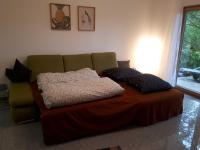 One-Bedroom Apartment with Terrace