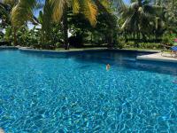 B&B Bocas del Toro - Sand Dollar Beach Bed & Breakfast - Bed and Breakfast Bocas del Toro