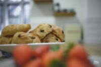 The Old Cook's House - B&B Hindhead