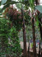 Nhà của Sóc - B&B Ðà Lạt