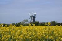 B&B Wyk auf Föhr - Inselzauber - Bed and Breakfast Wyk auf Föhr