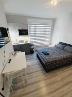 Estudio con 1 cama grande