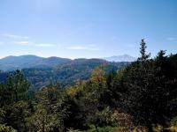 Apartaments els Pins - Sant Hilari Sacalm - B&B