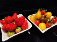 Chalet la Cachette Cyclists & Skiers - B&B Le Bourg-d'Oisans