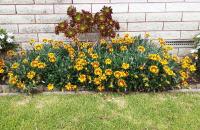 Fantastic Two Bedroom Unit - B&B Whakatane