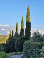 VILLORE - Home Sweet Home Tuscany - B&B Poggibonsi