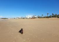 Cozy Chalet - playa a 200m - Ferienwohnung Chiclana de la Frontera