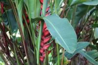 Camera Familiare con Vista Giardino